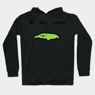 at my limit Hoodie